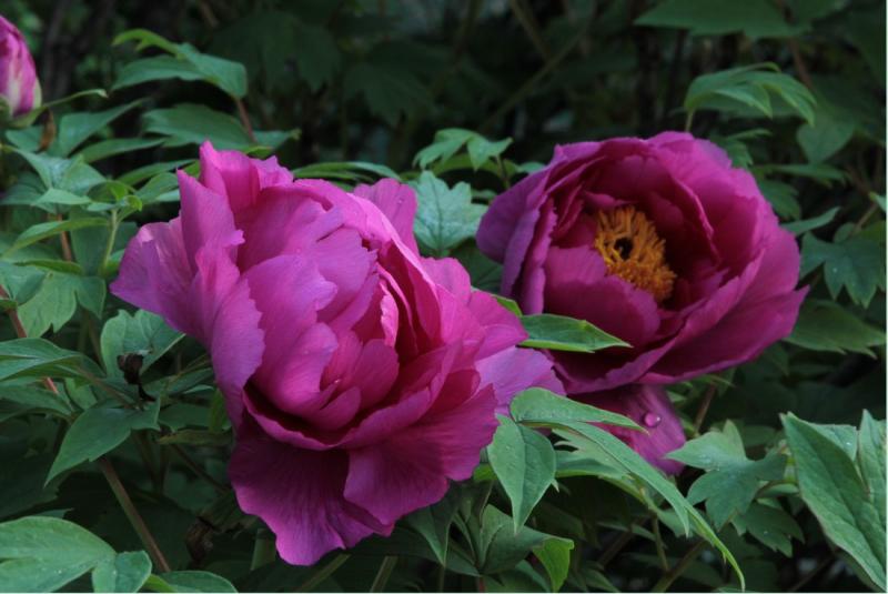 Image00014