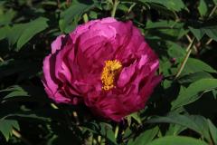 Image00018