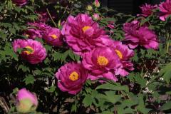 Image00021