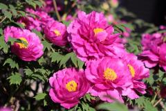 Image00022