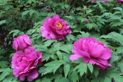 Image00001