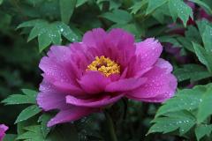 Image00003