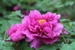 Image00006