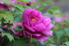 Image00007