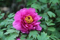 Image00008