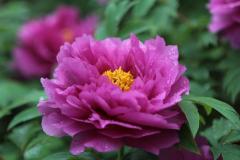 Image00011