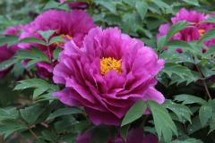 Image00013