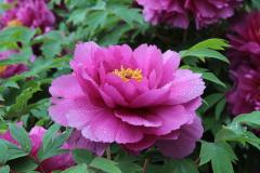Image00014