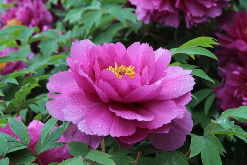 Image00014