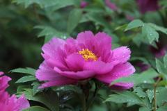 Image00015