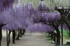 Image00017