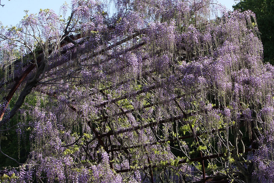 Image00001
