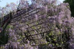 Image00001