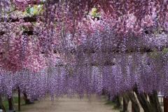 Image00002
