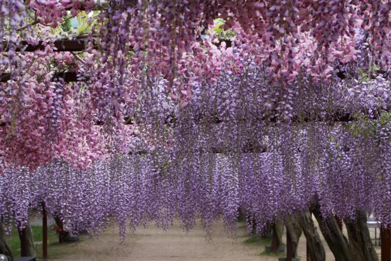 Image00002