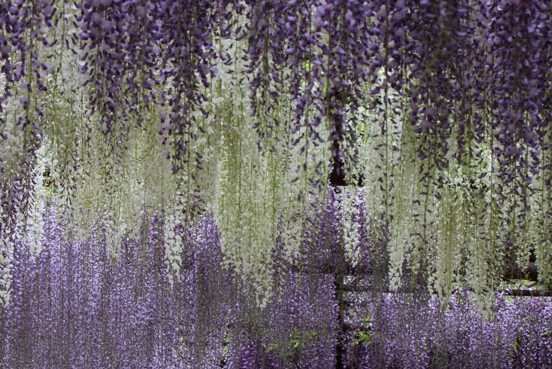Image00003