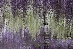 Image00003