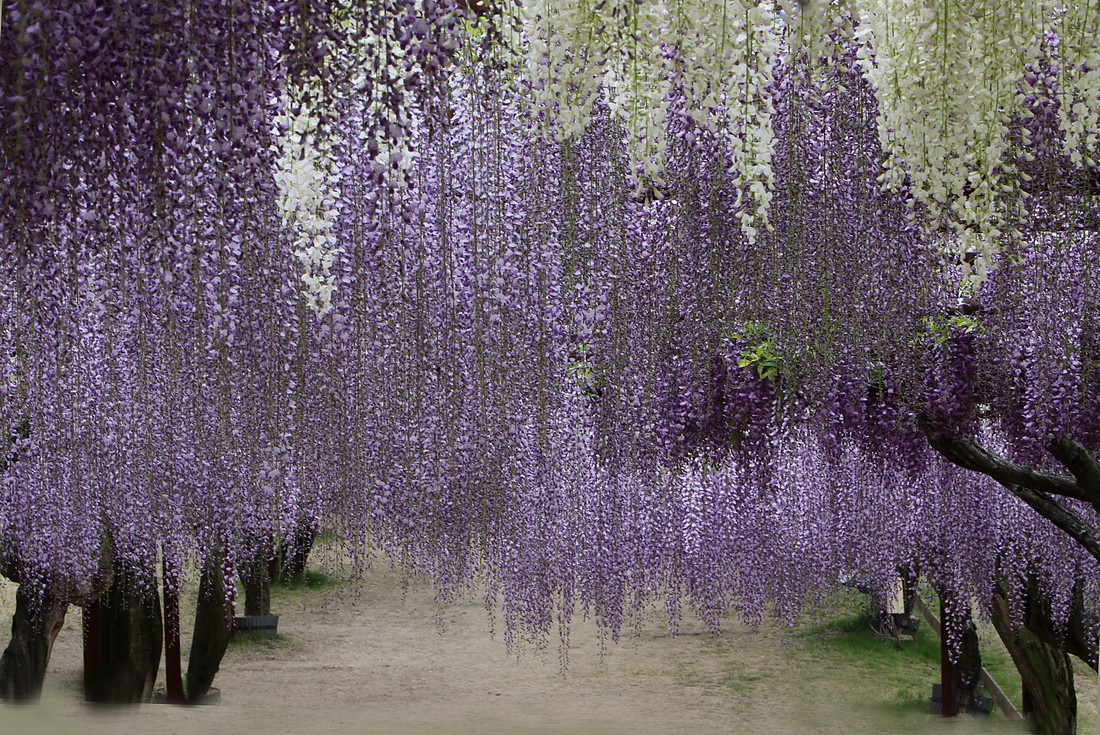 Image00004