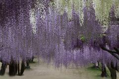 Image00004