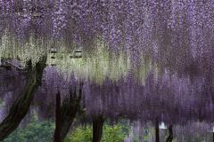 Image00006