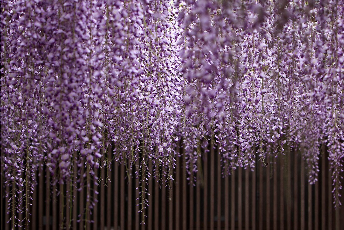 Image00008