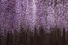Image00008