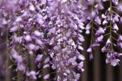 Image00009