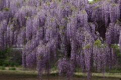Image00011