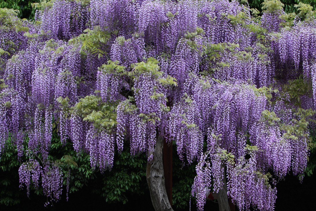 Image00013