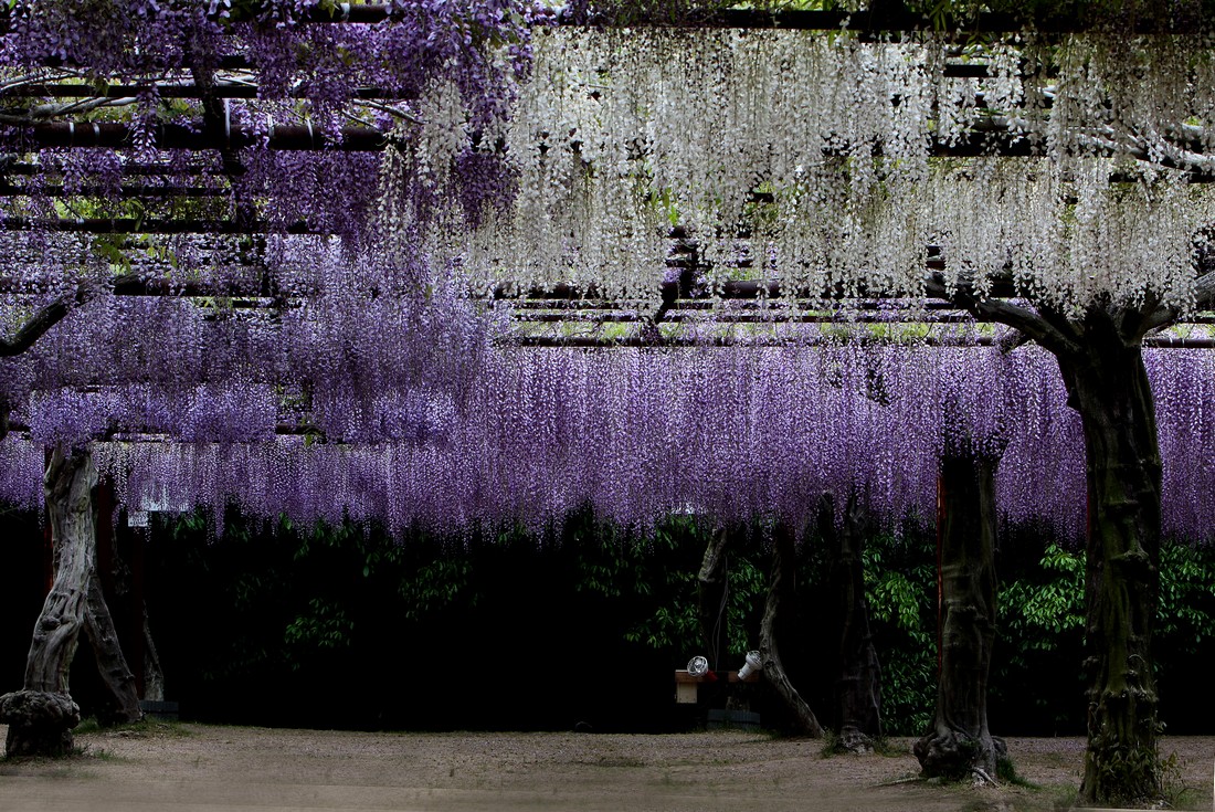 Image00014