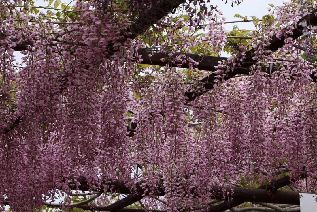 Image00015