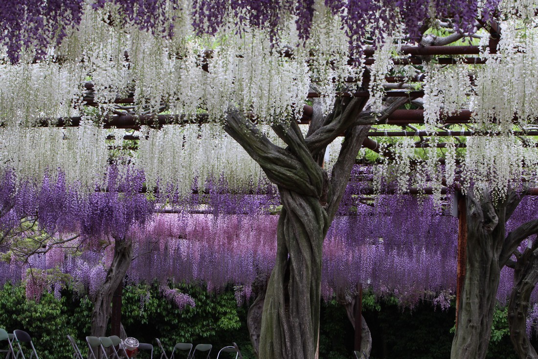Image00016