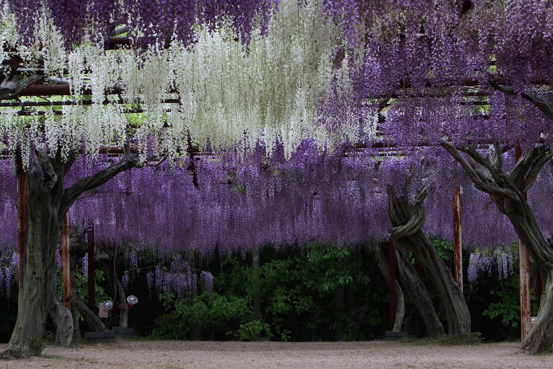 Image00018