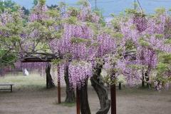 Image00019