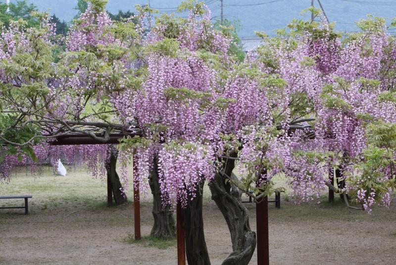 Image00019