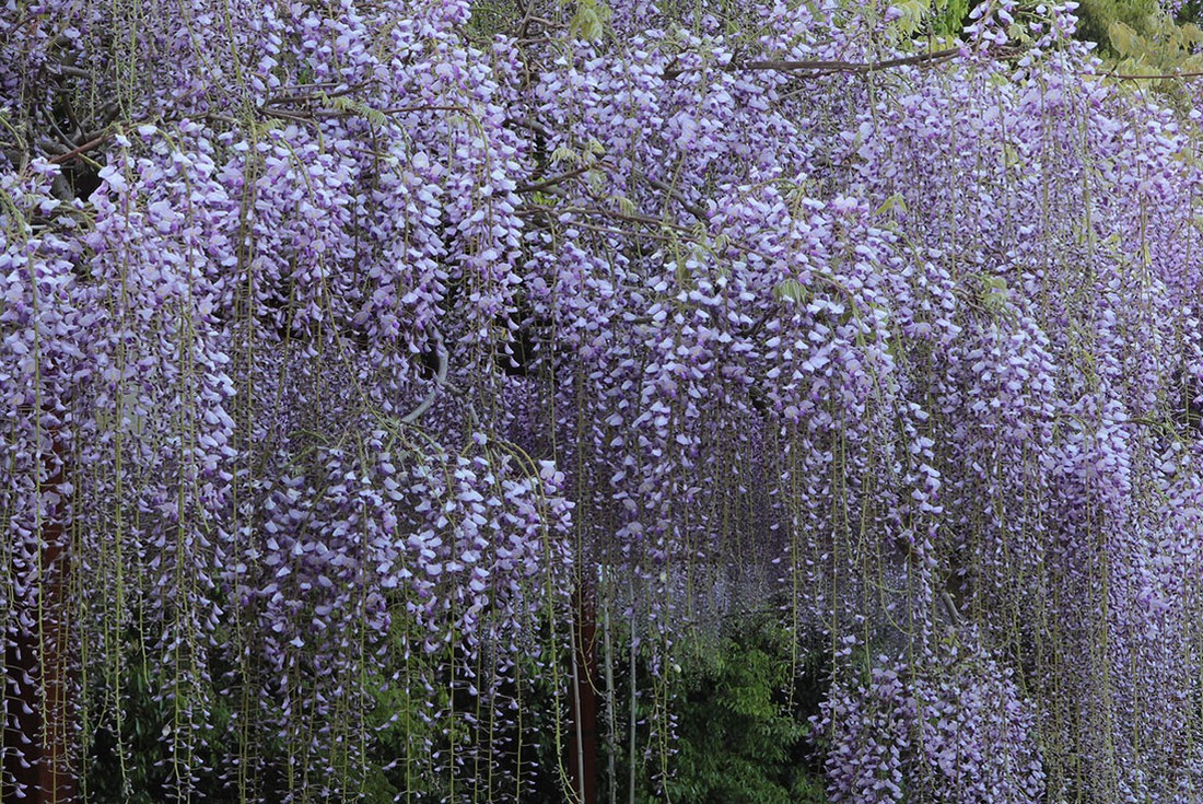 Image00022