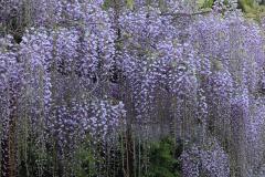 Image00022
