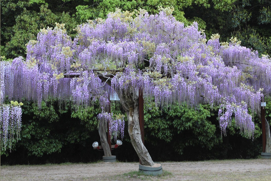 Image00023