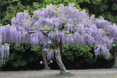 Image00023