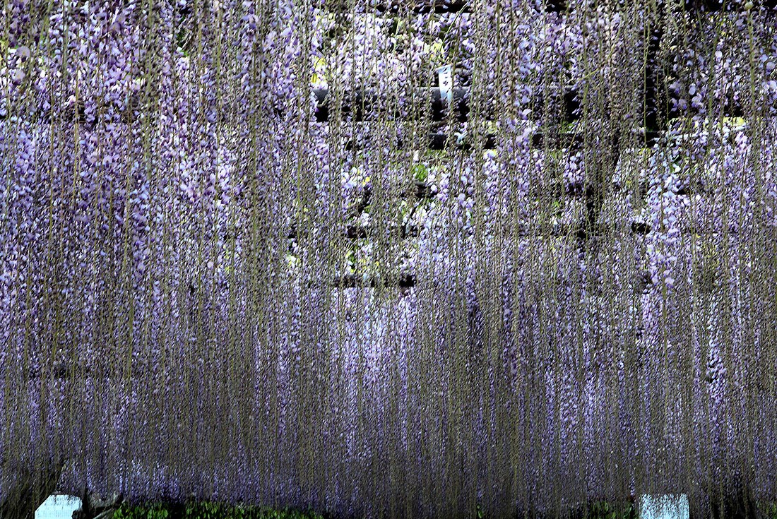 Image00024
