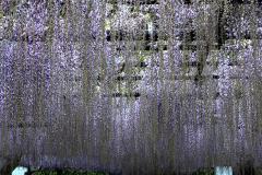 Image00024