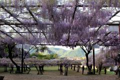 Image00026
