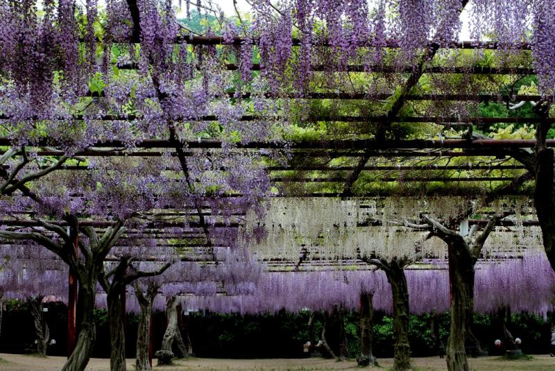 Image00039