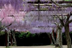 Image00040