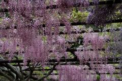 Image00041