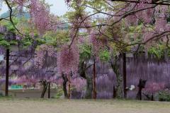 Image00042