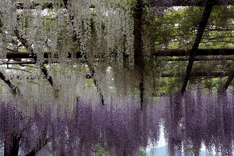 Image00045