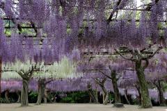 Image00046