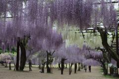 Image00048