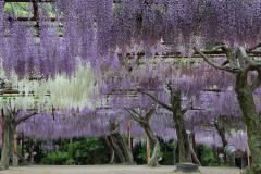 Image00049
